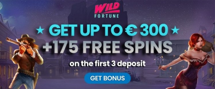 Wild Fortune Casino 2
