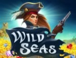 Wild Seas online casino slot
